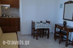 Studios G. Salteris_s __1