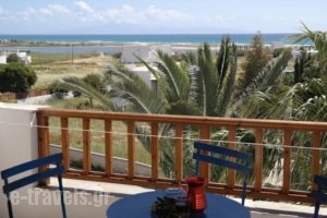 Studios G. Salteris_lowest prices_in_Hotel_Cyclades Islands_Naxos_Naxos Rest Areas