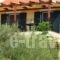 Elia Village_holidays_in_Hotel_Ionian Islands_Lefkada_Lefkada's t Areas