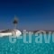 Carpe Diem Suites and Spa_accommodation_in_Hotel_Cyclades Islands_Sandorini_Fira