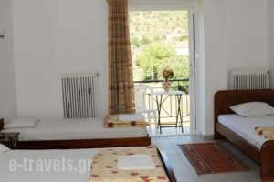 Olympic Torch_best prices_in_Hotel_Peloponesse_Ilia_Olympia