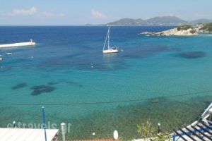 Studios Loukia_accommodation_in_Hotel_Aegean Islands_Samos_Samos Rest Areas