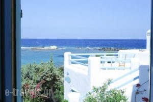 Christo Rooms & Studios_lowest prices_in_Room_Cyclades Islands_Milos_Apollonia