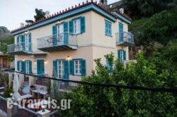 Acronafplia Pension A_s __1