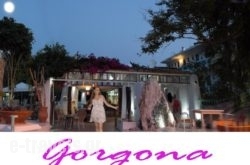 Gorgona Studios_s __1