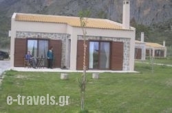 Socrates Organic Village_s __1