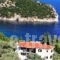 Mando Beachfront_accommodation_in_Hotel_Sporades Islands_Skopelos_Skopelos Chora