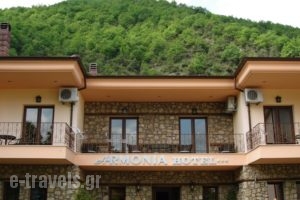 Armonia Hotel_best prices_in_Hotel_Macedonia_Pella_Aridea