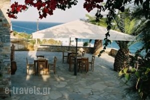 Oasis Azolimnos_travel_packages_in_Cyclades Islands_Syros_Azolimnos