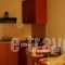 Studio Skourtis_best deals_Hotel_Piraeus Islands - Trizonia_Methana_Methana Chora