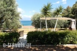 Peter'S Village_s __1