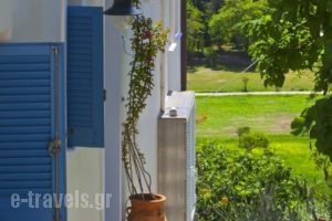 Anemomiloi Studios_lowest prices_in_Hotel_Cyclades Islands_Andros_Andros City