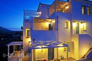 Anemomiloi Studios_travel_packages_in_Cyclades Islands_Andros_Andros City
