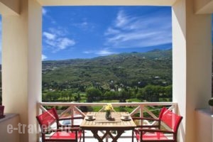 Anemomiloi Studios_best deals_Hotel_Cyclades Islands_Andros_Andros City