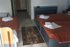 Great Alexander Hotel_best prices_in_Hotel_Macedonia_Pieria_Dion