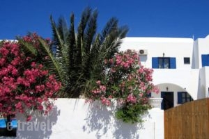 Santorini Breeze_holidays_in_Hotel_Cyclades Islands_Sandorini_Emborio