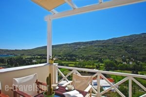 Anemomiloi Studios_accommodation_in_Hotel_Cyclades Islands_Andros_Andros City