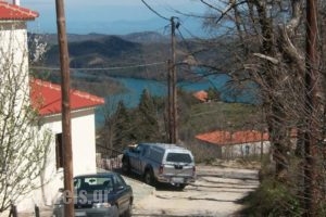 Thea Guesthouse_best prices_in_Hotel_Thessaly_Karditsa_Neochori