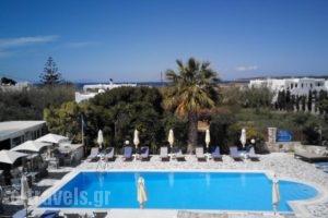 Zoumis Studios_best deals_Hotel_Cyclades Islands_Paros_Naousa