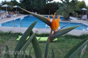 Stork Hotel_best prices_in_Hotel_Crete_Heraklion_Ammoudara