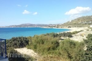 Isalos Studios_accommodation_in_Hotel_Cyclades Islands_Naxos_Mikri Vigla