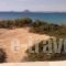 Isalos Studios_travel_packages_in_Cyclades Islands_Naxos_Mikri Vigla