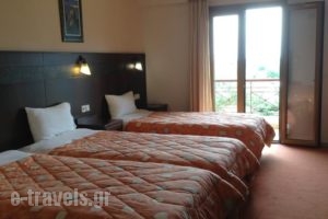 Hotel Orfeas_holidays_in_Hotel_Thessaly_Trikala_KaLamiaki