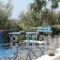 Thera Terra_lowest prices_in_Hotel_Cyclades Islands_Sandorini_Emborio