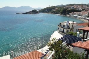 Studios Loukia_holidays_in_Hotel_Aegean Islands_Samos_Samos Rest Areas
