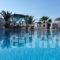 Pension Livadaros_best deals_Hotel_Cyclades Islands_Sandorini_Sandorini Chora