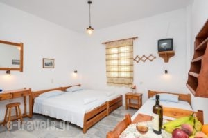 Golden Beach Studios_best prices_in_Hotel_Cyclades Islands_Paros_Paros Chora