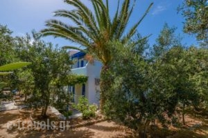 Golden Beach Studios_accommodation_in_Hotel_Cyclades Islands_Paros_Paros Chora