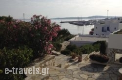 Adonis Hotel Studios & Apartments in Paros Chora, Paros, Cyclades Islands