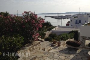 Adonis Hotel Studios & Apartments_accommodation_in_Apartment_Cyclades Islands_Paros_Paros Chora