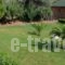 Delfini_best deals_Hotel_Central Greece_Viotia_Livadia