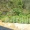 Villa Pelagia_best deals_Villa_Ionian Islands_Corfu_Corfu Rest Areas