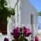 Villa Kapare_lowest prices_in_Villa_Crete_Chania_Vamos