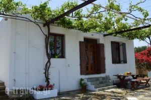 Villa Kapare_best deals_Villa_Crete_Chania_Vamos