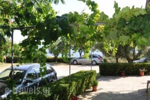 Aris Pension_best prices_in_Hotel_Macedonia_Halkidiki_Kassandreia
