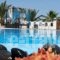 Pension Livadaros_holidays_in_Hotel_Cyclades Islands_Sandorini_Sandorini Chora