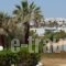 Studios Fivos_lowest prices_in_Hotel_Cyclades Islands_Paros_Paros Chora