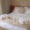 Triton Hotel Piraeus_accommodation_in_Hotel_Central Greece_Attica_Piraeus