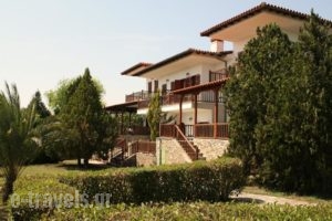 Villa Nikiti_accommodation_in_Villa_Macedonia_Halkidiki_Chalkidiki Area