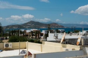 Studios Marina_lowest prices_in_Hotel_Cyclades Islands_Naxos_Naxos chora