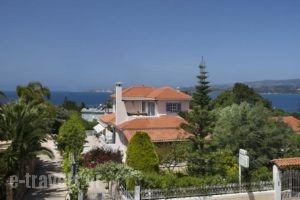 Villa Tzivras_accommodation_in_Villa_Ionian Islands_Kefalonia_Argostoli