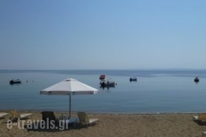 Bungalows Camping Kouyoni_accommodation_in_Hotel_Macedonia_Halkidiki_Poligyros