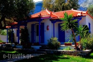 White Rock Apartments_best deals_Apartment_Aegean Islands_Samos_Marathokambos