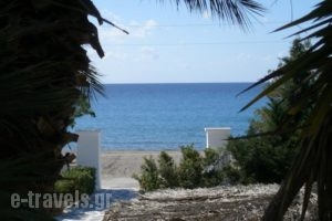 Avra Palm_lowest prices_in_Hotel_Crete_Lasithi_Koutsounari