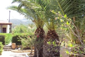 Villa Katerina_lowest prices_in_Villa_Crete_Lasithi_Makrys Gialos