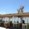 Nissaki Beach Hotel_best prices_in_Hotel_Cyclades Islands_Naxos_Naxos chora